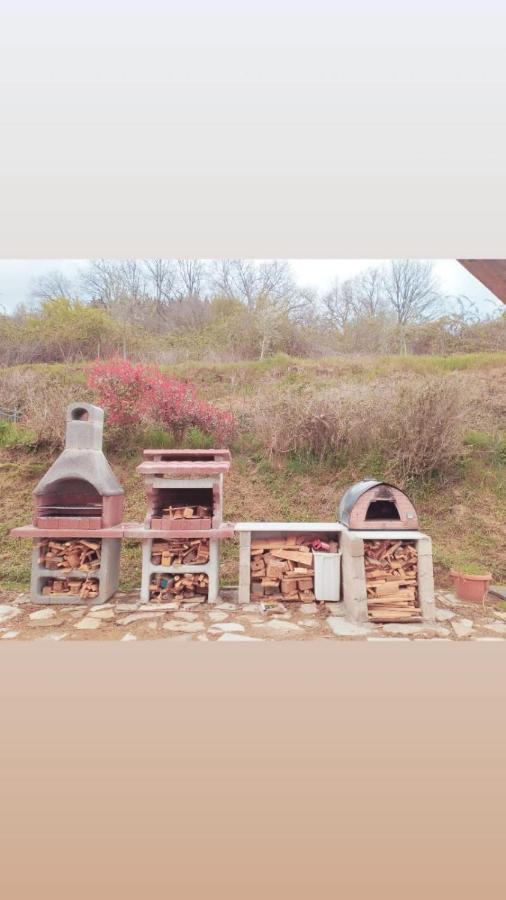 Il Podere Di Massi บาร์เบริโน ดิ มูเจลโล ภายนอก รูปภาพ