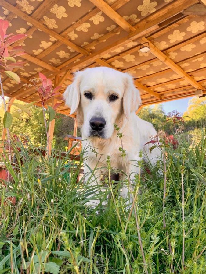 Il Podere Di Massi บาร์เบริโน ดิ มูเจลโล ภายนอก รูปภาพ