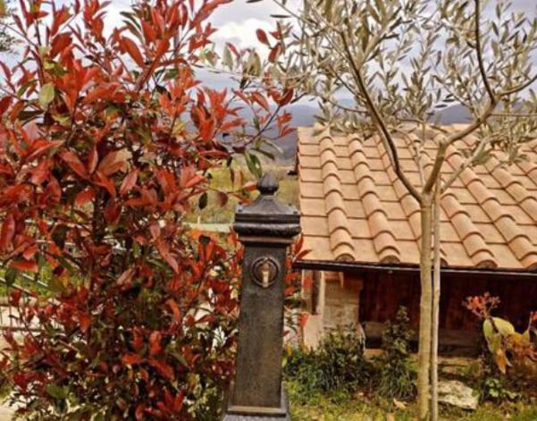 Il Podere Di Massi บาร์เบริโน ดิ มูเจลโล ภายนอก รูปภาพ