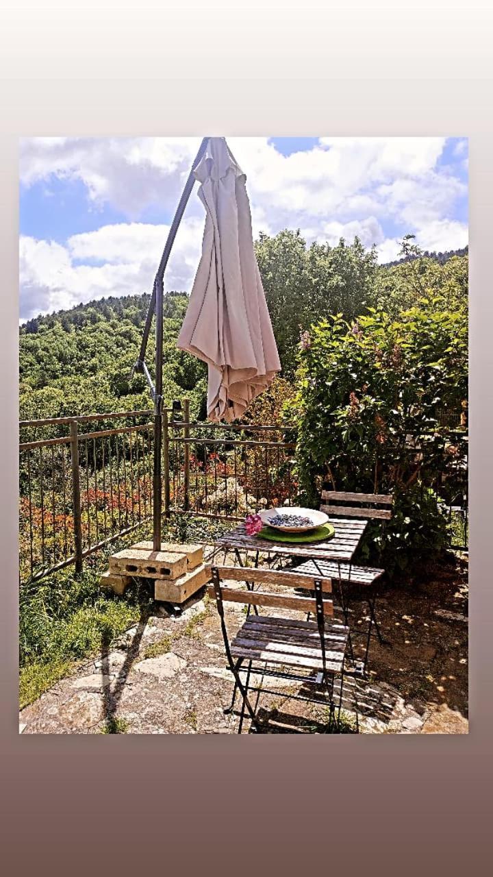 Il Podere Di Massi บาร์เบริโน ดิ มูเจลโล ภายนอก รูปภาพ