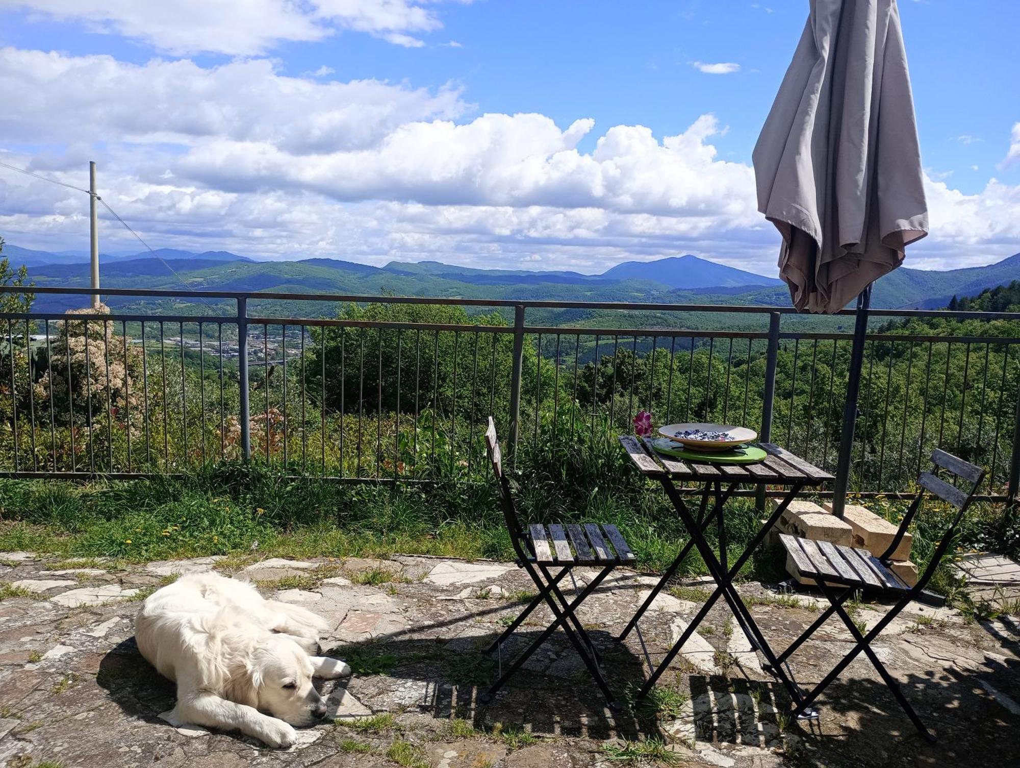 Il Podere Di Massi บาร์เบริโน ดิ มูเจลโล ภายนอก รูปภาพ