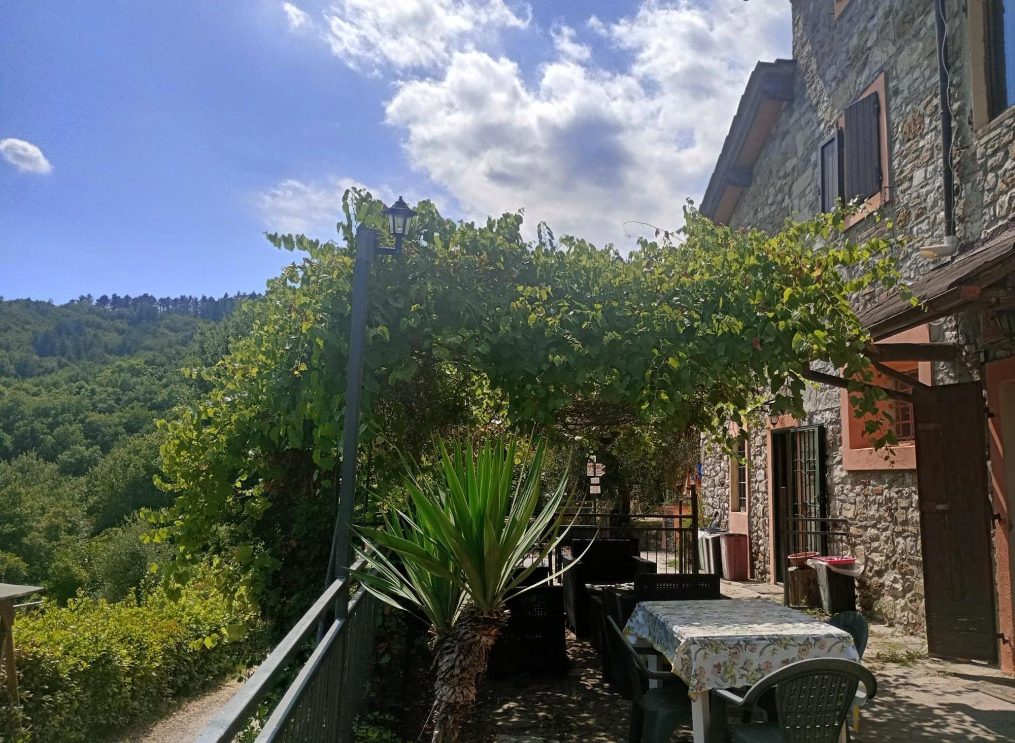 Il Podere Di Massi บาร์เบริโน ดิ มูเจลโล ภายนอก รูปภาพ